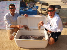 Team Strategery: Team Strategery brings in 158 lionfish.